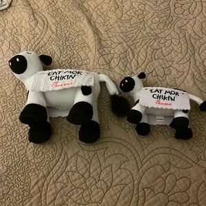 Set of two cfa cows